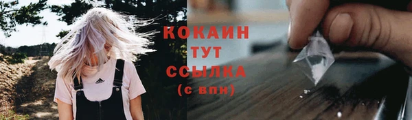 дживик Новозыбков