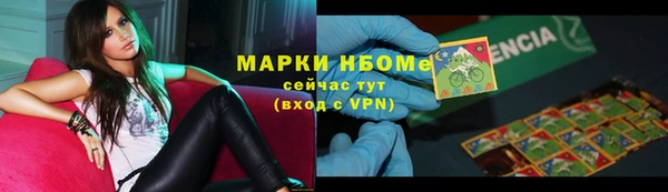дживик Новозыбков