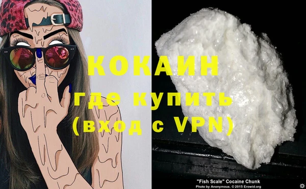 тгк Новодвинск
