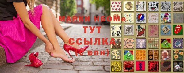 дживик Новозыбков