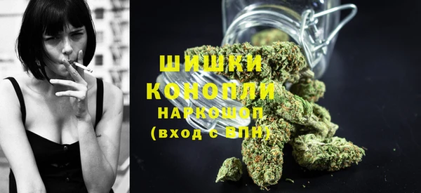 дживик Новозыбков