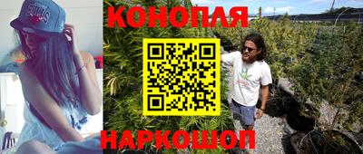 шишки Балашиха